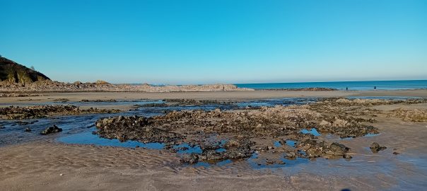 Martin Plage Plérin