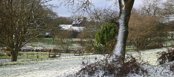 Saupoudrage noel 2025 Boqueho